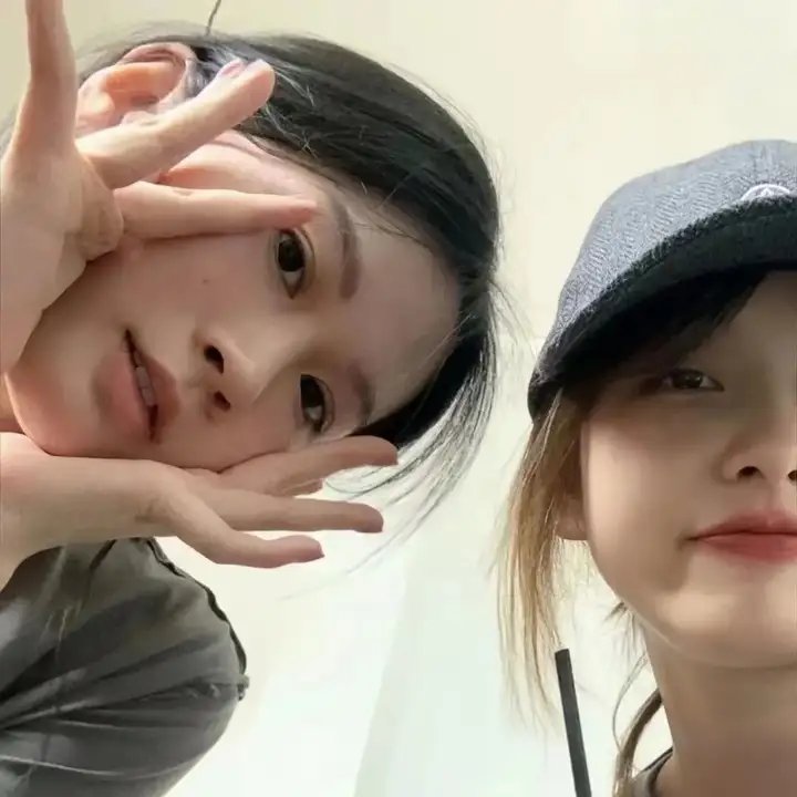 鲨与鲸